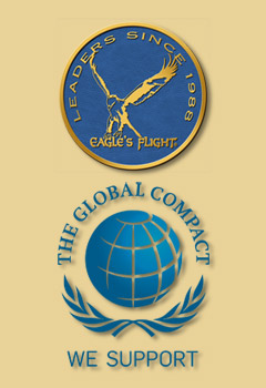 logos Global Compact Eagle Flight